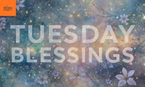 Happy Tuesday Blessings