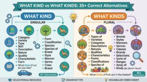 What Kind vs What Kinds: 35+ Correct Alternatives